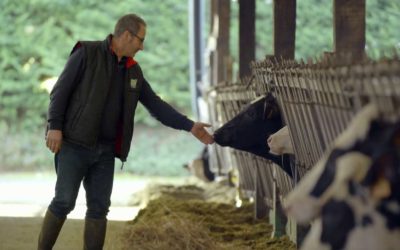 TENYÉSZTŐ – BODÓ ÁGOSTON Telephely: Ráckeresztúr  Tevékenység: Tejtermelés és tejfeldolgozás